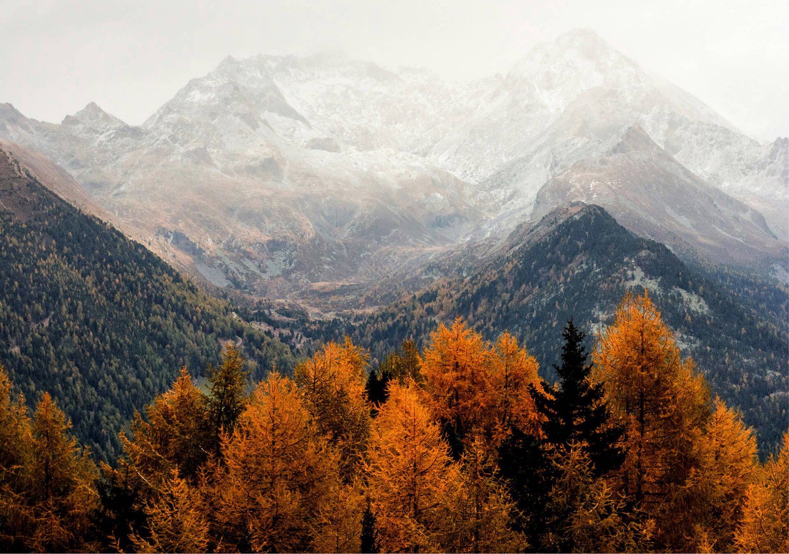 Wohnmobil Routen Österreich: Die 5 schönsten Strecken für deinen Roadtrip